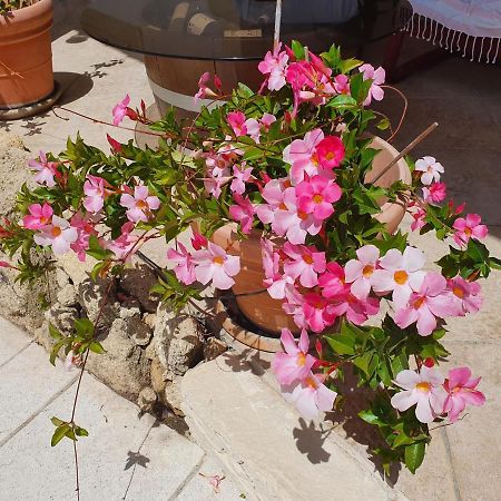 Bed and Breakfast Fenetre Sur Les Alpilles Saint-Martin-de-Crau Esterno foto
