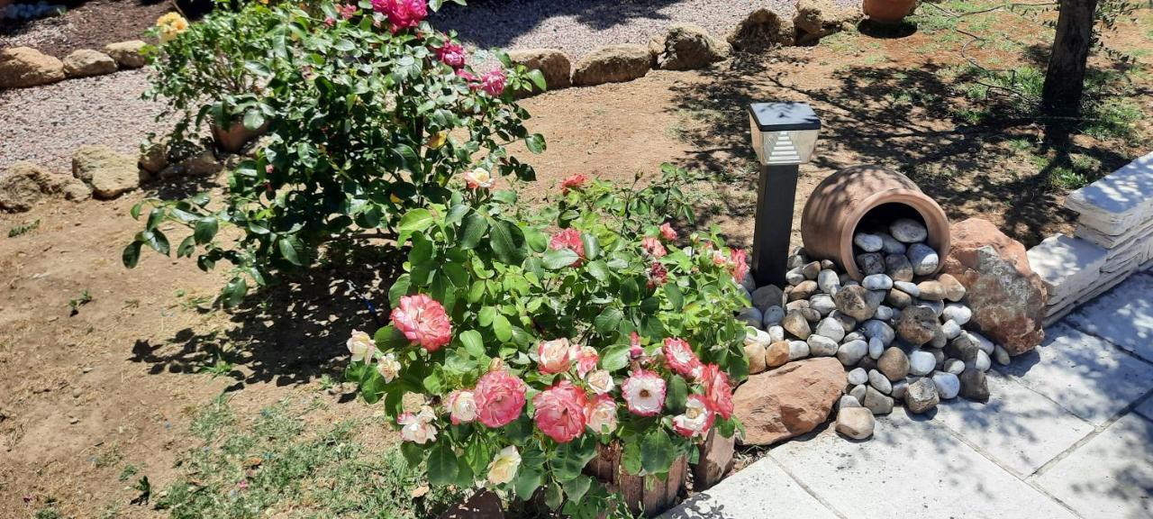 Bed and Breakfast Fenetre Sur Les Alpilles Saint-Martin-de-Crau Esterno foto