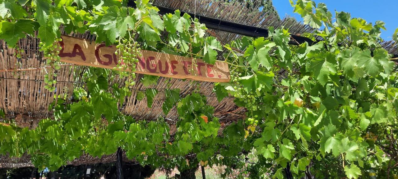 Bed and Breakfast Fenetre Sur Les Alpilles Saint-Martin-de-Crau Esterno foto