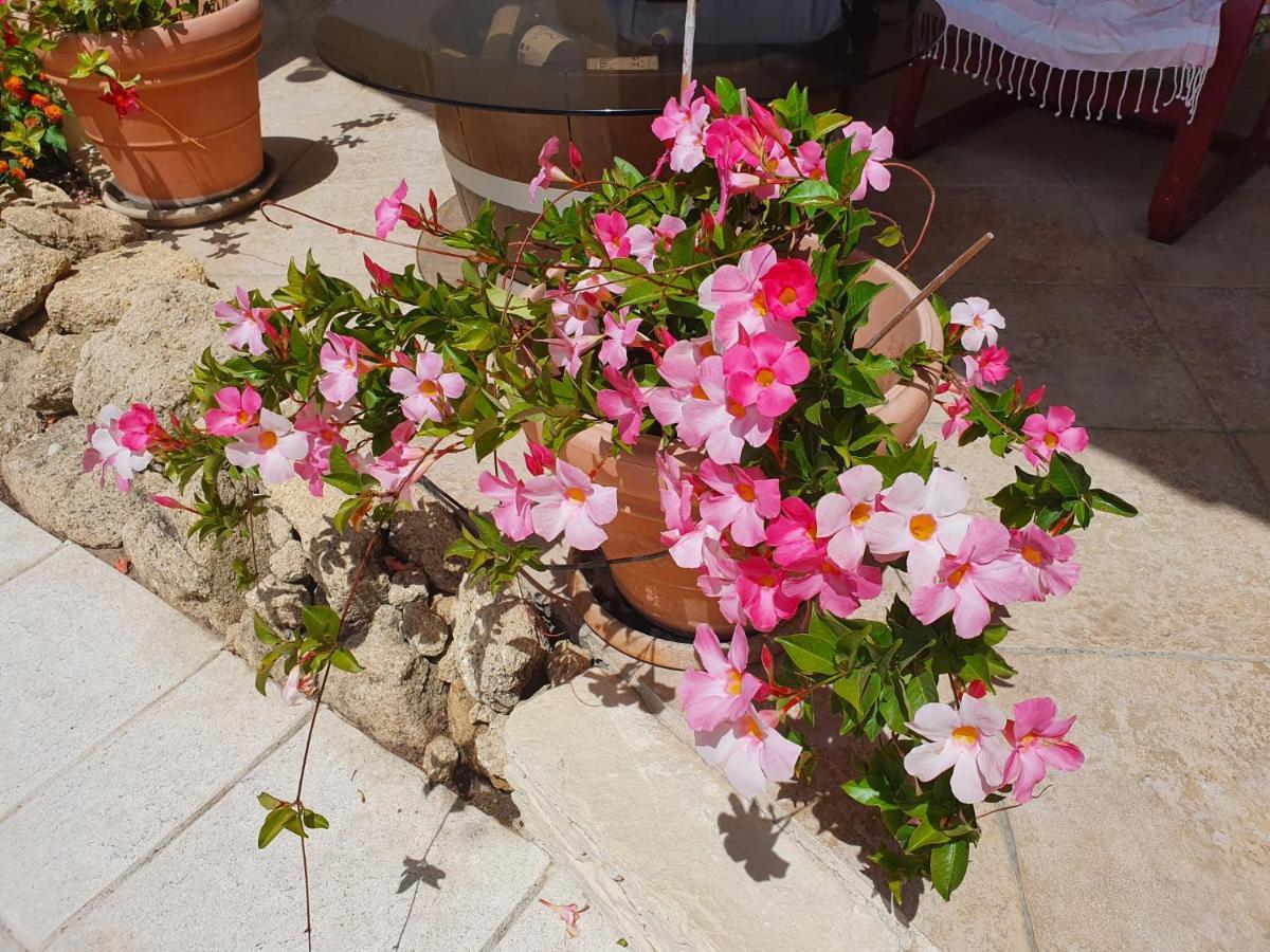 Bed and Breakfast Fenetre Sur Les Alpilles Saint-Martin-de-Crau Esterno foto